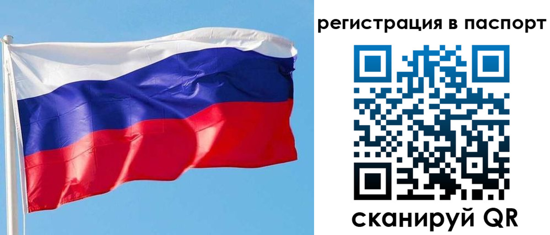прописка законно в Новодвинске